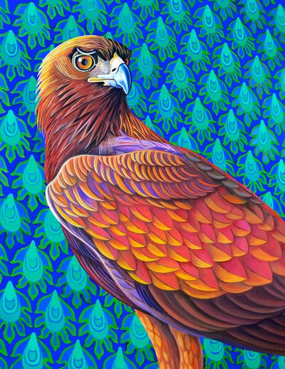 Steinadler, 2017 von Jane Tattersfield